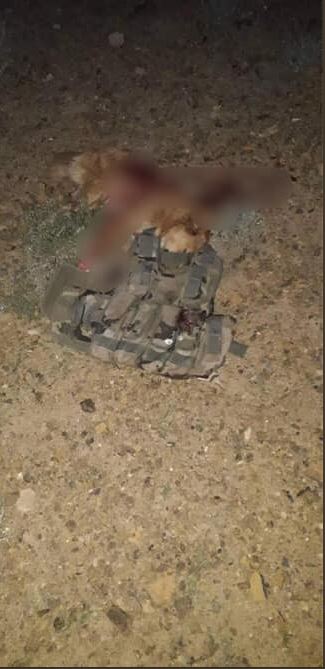 سگ انتحاری طالبان توسط پلیس لوگر کشته شد + عکس