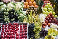 متقاضیان تولید محصولات گواهی شده در سامانه 