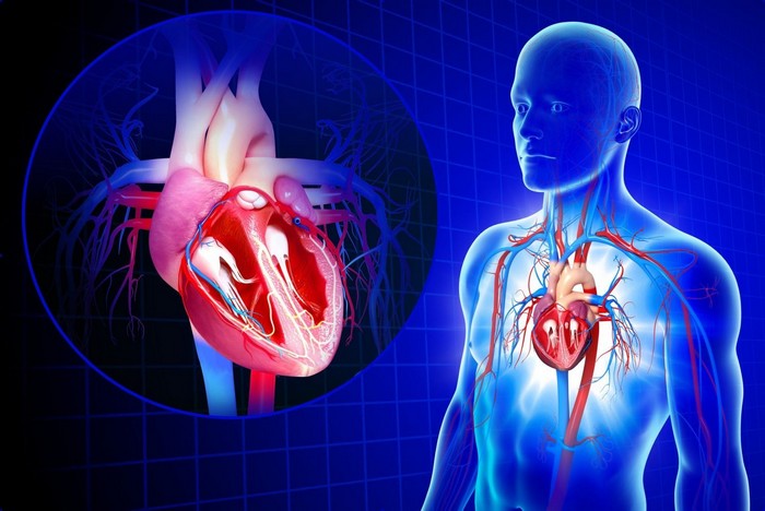 تب روماتیسم؛ بیماری خطرناکی که با یک گلودرد ساده شروع می&zwnj;شود + راه پیشگیری