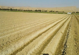 اراضی غیزانیه اهواز در پساب کارخانه نمک زدایی نفت غرق شدند
