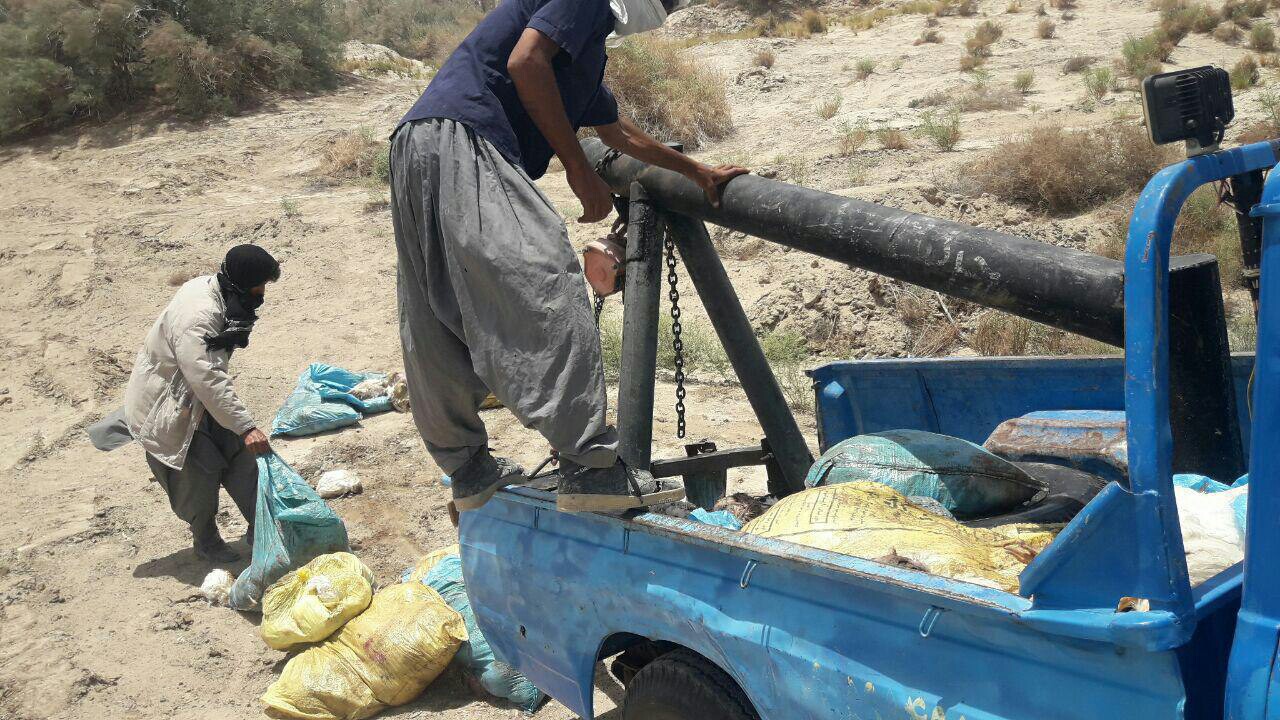 جلوگیری از فاجعه با هوشیاری محیط بانان