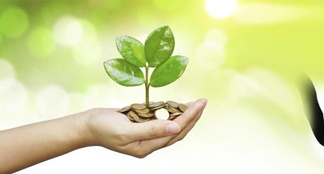کاهش تعداد تخت&zwnj;های بیمارستانی با توجه به امر پیشگیری/ راه&zwnj;اندازی مرکز جامع سرطان مادران با سرمایه&zwnj;گذاری زنان خیر