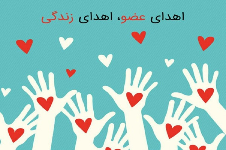 جوان مرگ مغزی به چهار بیمار زندگی دوباره بخشید