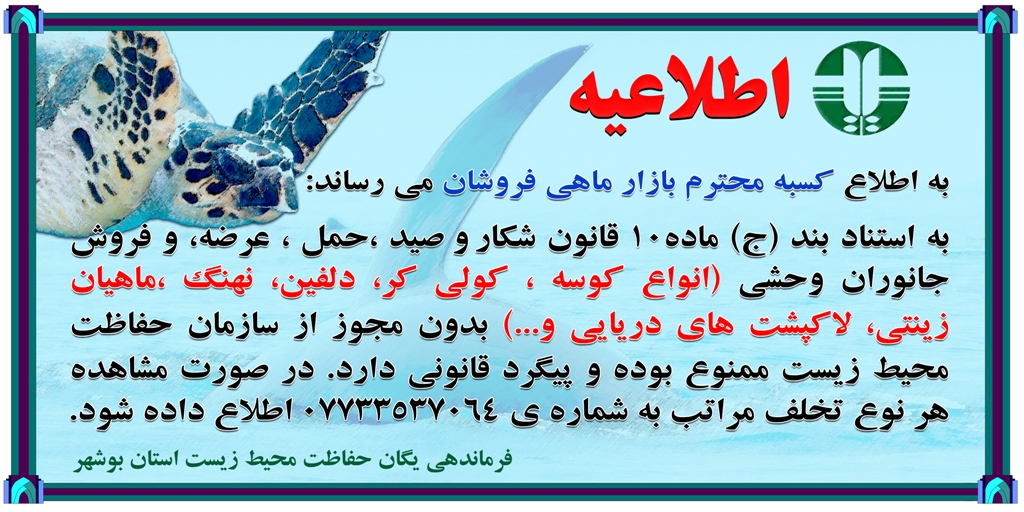 خرید و فروش پرندگان و آبزیان در بازار و اسکله‌ها ممنوع است