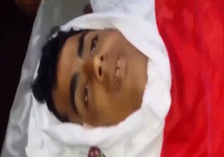 نماهنگ «در بوستان شعر»
