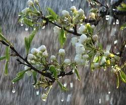 کاهش دمای هوا در خراسان رضوی کاهش دمای هوا در خراسان رضوی