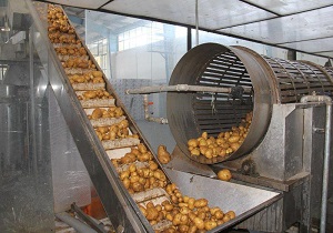 جای خالی صنایع تبدیلی در استان کردستان