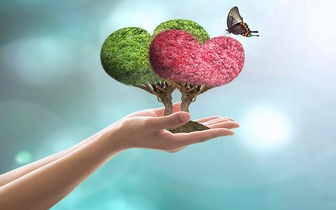 پاداشی که به واسطه ۴ کار به انسان می&zwnj;دهند