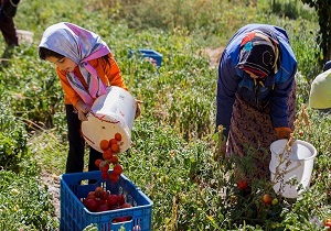 مهاجرت یکی از معضلات استان سمنان