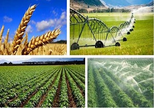اعطای تسهیلات به ۳۱ طرح تولید و اشتغال در خراسان جنوبی