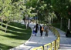 نوشیدن یک فنجان چای با خاطری آرام دربوستان بانوان
