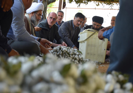&ldquo;پیله چینی&rdquo; آیت الله فلاحتی در لنگرود همراه با کشاورزان