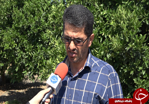 درآمد ۱۵۰ میلیونی تومانی کارافرین مازندرانی با پرورش حشره پولساز + فیلم درآمد ۱۵۰ میلیونی تومانی کارافرین مازندرانی با پرورش حشره پولساز + فیلم