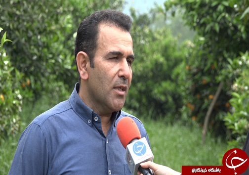 درآمد ۱۵۰ میلیونی تومانی کارافرین مازندرانی با پرورش حشره پولساز + فیلم درآمد ۱۵۰ میلیونی تومانی کارافرین مازندرانی با پرورش حشره پولساز + فیلم