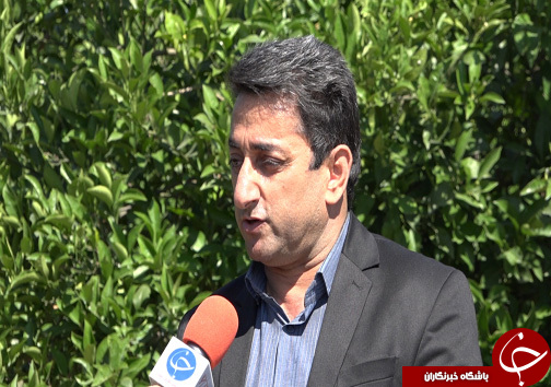 درآمد ۱۵۰ میلیونی تومانی کارافرین مازندرانی با پرورش حشره پولساز + فیلم درآمد ۱۵۰ میلیونی تومانی کارافرین مازندرانی با پرورش حشره پولساز + فیلم