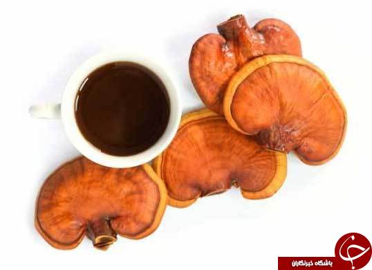کدام بیماران می&zwnj;توانند از قهوه گانودرما و خواص آن بهره ببرند؟!