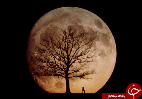فاز&zwnj;های ماه را می&zwnj;شناسید؟ +معرفی ۸ فاز متفاوت و زیبای ماه