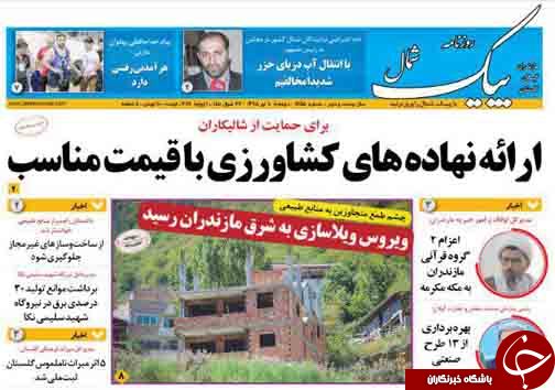 جنگل&zwnj;های یتیم زیر دست پدرخوانده / دریای خزر شهردار مستقل می&zwnj;خواهد