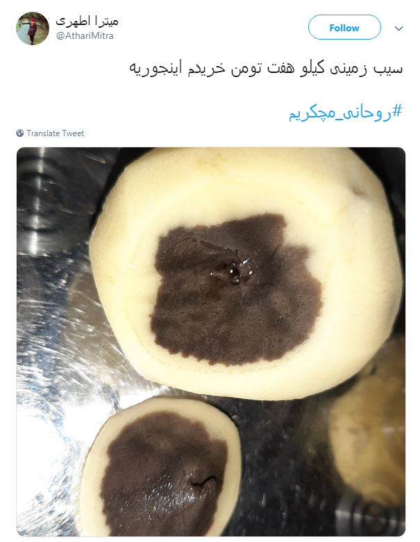 #سیب_زمینی