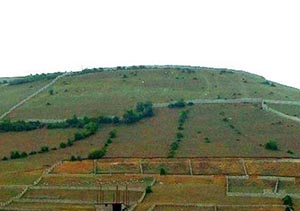 کشف زمین خواری میلیاردی در کردکوی