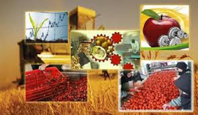 معین‌های توسعه‌گرا برای پایدار شدن اقتصاد روستایی تلاش کنند