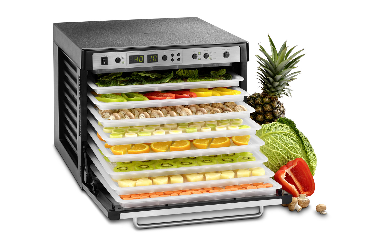 قیمت انواع میوه و سبزی خشک کن + جدول