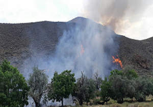 بیش از یک و نیم هکتار از مراتع روستای بیدان پنج طعمه حریق شد/خسارت ۷ میلیاردی به این روستا