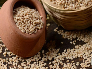 پیش بینی تولید حدود ۴۰۰ تن محصول کنجد
