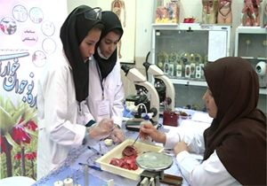 پایان مرحله استانی جشنواره نوجوان خوارزمی
