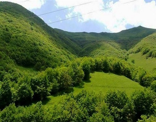 &laquo;فندقلو&raquo; میراث دار طبیعت کهن اردبیل؛ گردشگران به دنبال رمز گشایی سحر جنگل