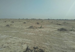 تبدیل بیش از ۳۰۰ هزار هکتار از اراضی حاشیه اهواز به کانون گرد و غبار