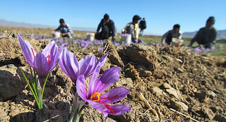 &Ugrave;&Oslash;&sect;&Uacute;&Oslash;&sect;&Ugrave; &Ugrave;&frac34;&Ucirc;&Oslash;&sect;&Oslash;&sup2; &Oslash;&sup2;&Oslash;&sup1;&Ugrave;&Oslash;&plusmn;&Oslash;&sect;&Ugrave; &Oslash;&macr;&Oslash;&ordm;&Oslash;&macr;&Oslash;&ordm;&Ugrave; &Oslash;&sect;&Oslash;&micro;&Ugrave;&Ucirc; &Uacute;&copy;&Oslash;&acute;&Oslash;&sect;&Ugrave;&Oslash;&plusmn;&Oslash;&sup2;&Oslash;&sect;&Ugrave; &Oslash;&macr;&Oslash;&plusmn; &Ugrave;&Ugrave;&Oslash;&sect;&Oslash;&middot;&Ugrave; &Oslash;&reg;&Oslash;&acute;&Uacute;&copy; &Uacute;&copy;&Oslash;&acute;&Ugrave;&Oslash;&plusmn;/ &Oslash;&not;&Ugrave;&Ugrave;&Oslash;&sect;&Ugrave; &Oslash;&macr;&Ugrave;&Oslash;&sect;&Ugrave;&Oslash;&sect;&Ugrave; &Ugrave;&Oslash;&plusmn;&Oslash;&sup2;&Ucirc; &Ugrave;&frac34;&Oslash;&sect;&Oslash;&uml;&Oslash;&plusmn;&Oslash;&not;&Oslash;&sect;&Oslash;&sup3;&Oslash;&ordf;