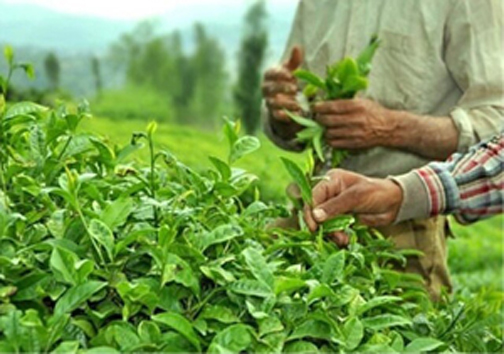 نگاهی گذرا به مهمترین رویداد&zwnj;های چهارشنبه ۱۲ تیرماه در مازندران