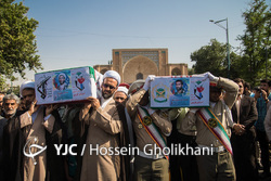 بازگشت ۴۴ پرستوی مهاجر به آغوش وطن
