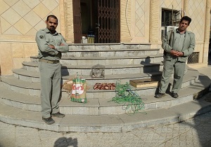 دستگیری صیادان سهره طلایی در شهرستان سنقر و کلیایی