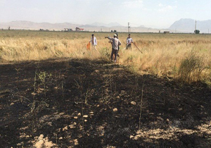 آتش سوزی در مزارع جو شهرکرد