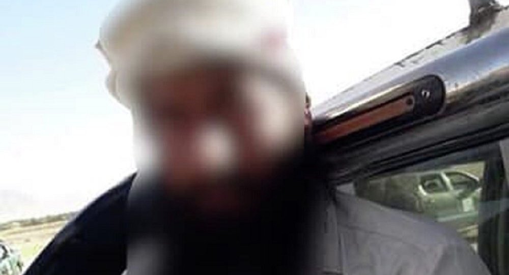 بازداشت عضو کلیدی گروه طالبان در ولایت پروان