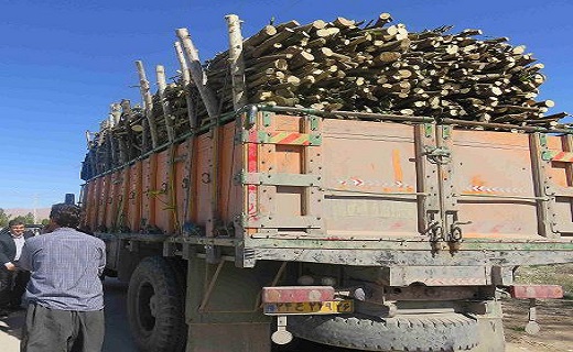 نگاهی به حوادث امروز پنجشنبه ۱۳ تیر در خوزستان
