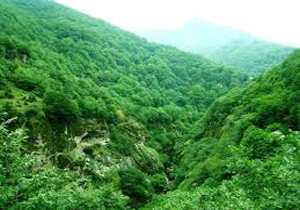 ثبت جهانی ۲۵ هزار هکتار از جنگل‌های هیرکانی خراسان شمالی