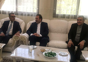 ایرانیان مقیم خارج، سفرای کشورمان در اقصی نقاط دنیا هستند