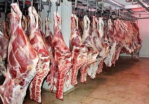 تولید بیش از هشت هزار تن گوشت قرمز در قزوین