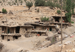 پایان قطع درختان بلوط در روستای صالح کوتاه کوهرنگ