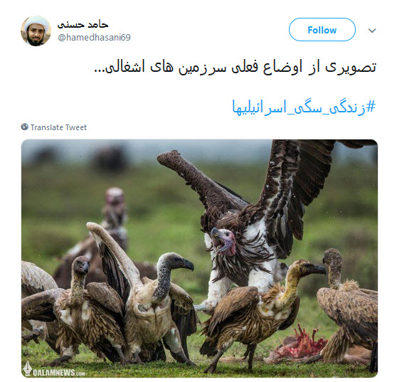 #تابستان_داغ_اسرائیل / انگار خانه عنکبوت داره از داخل ویران میشه +تصاویر