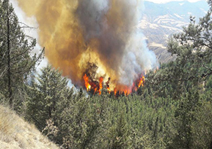 غرق شدن کودک ۱۰ ساله در گلستان