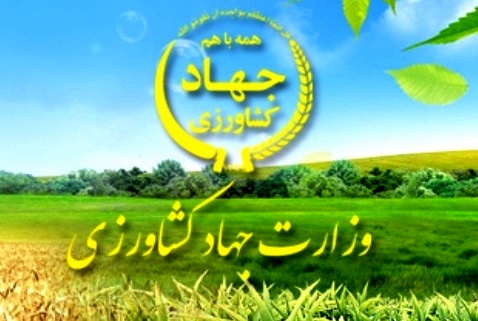 اصلاح ساختار در وزارت جهاد کشاورزی