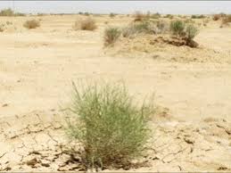 روند فرسایشی زیستگاه های خراسان رضوی نگران کننده است