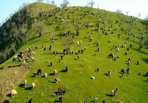 جشن ییلاقی در منطقه آزاد ماکو برگزار شد