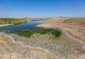 بارندگی‌های سال جاری به معنای پایان خشکسالی نیست/تغییرات اقلیمی و تنش های محیطی در قم ادامه دارد