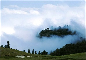 پیام تبریک استاندار سمنان در پی ثبت جهانی جنگل‌های هیرکانی