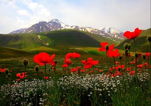 اردبیل؛ مقصدی خنک برای مسافران تابستانی/تجربه سفر به جاذبه‌های گردشگری بدیع در دیار سبز ایران